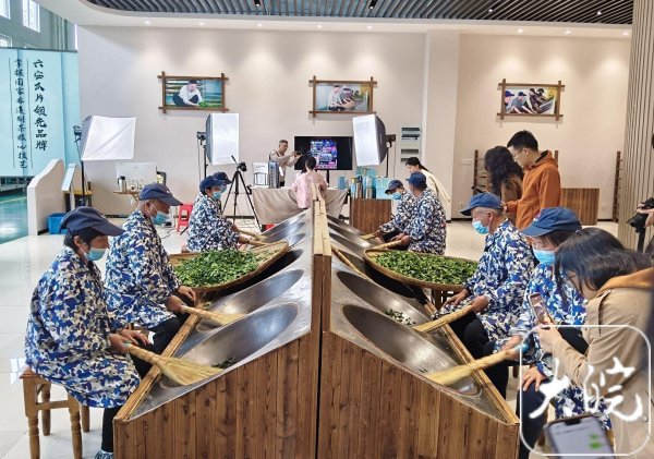 牢记嘱托开新局 日新江淮往前赶｜直播间开进六安瓜片生产车间