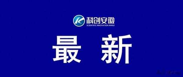 合肥这家公司再融资, 国家级资本进场