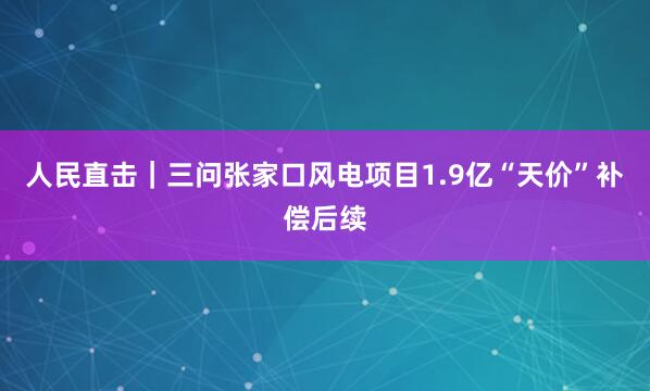 人民直击｜三问张家口风电项目1.9亿“天价”补偿后续