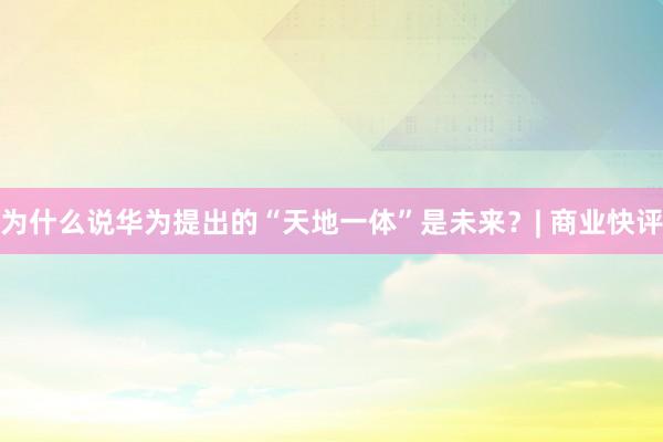 为什么说华为提出的“天地一体”是未来？| 商业快评