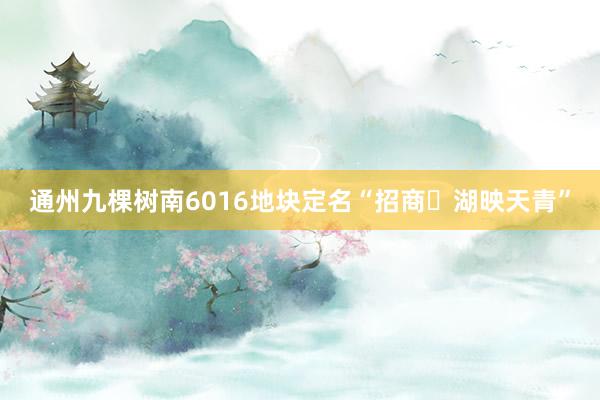 通州九棵树南6016地块定名“招商・湖映天青”