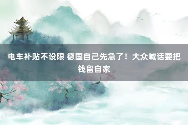 电车补贴不设限 德国自己先急了！大众喊话要把钱留自家