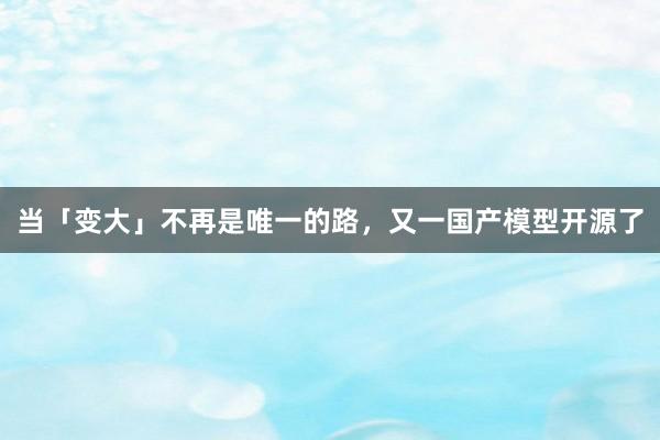 当「变大」不再是唯一的路，又一国产模型开源了