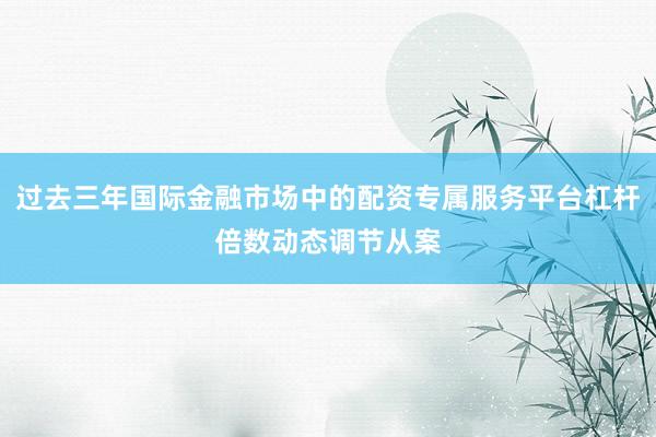过去三年国际金融市场中的配资专属服务平台杠杆倍数动态调节从案