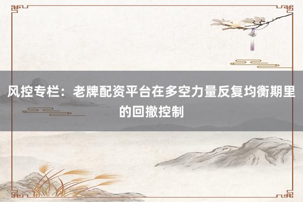 风控专栏：老牌配资平台在多空力量反复均衡期里的回撤控制