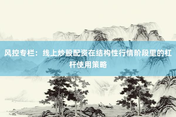 风控专栏：线上炒股配资在结构性行情阶段里的杠杆使用策略