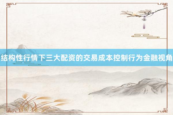 结构性行情下三大配资的交易成本控制行为金融视角