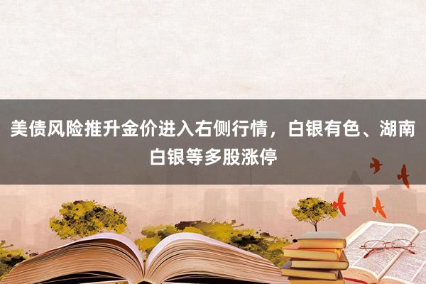 美债风险推升金价进入右侧行情，白银有色、湖南白银等多股涨停