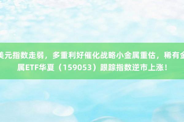 美元指数走弱，多重利好催化战略小金属重估，稀有金属ETF华夏（159053）跟踪指数逆市上涨！