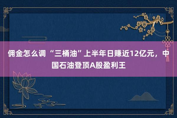 佣金怎么调 “三桶油”上半年日赚近12亿元，中国石油登顶A股盈利王