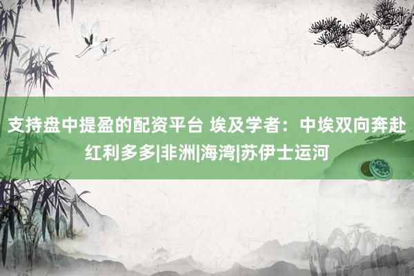 支持盘中提盈的配资平台 埃及学者：中埃双向奔赴红利多多|非洲|海湾|苏伊士运河
