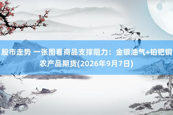 股市走势 一张图看商品支撑阻力：金银油气+铂钯铜农产品期货(2026年9月7日)