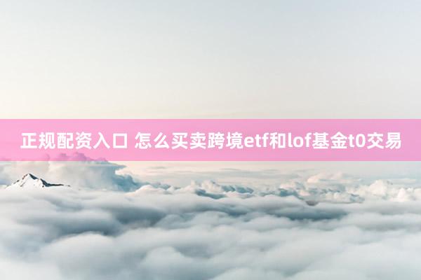 正规配资入口 怎么买卖跨境etf和lof基金t0交易