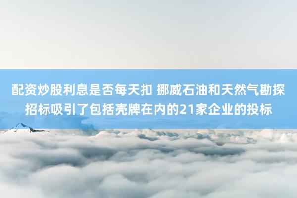 配资炒股利息是否每天扣 挪威石油和天然气勘探招标吸引了包括壳牌在内的21家企业的投标
