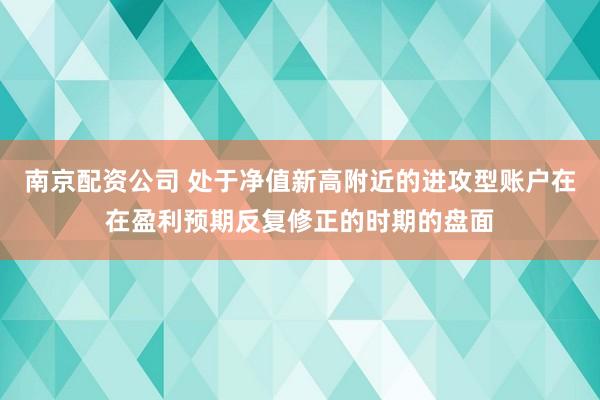 南京配资公司 处于净值新高附近的进攻型账户在在盈利预期反复修正的时期的盘面