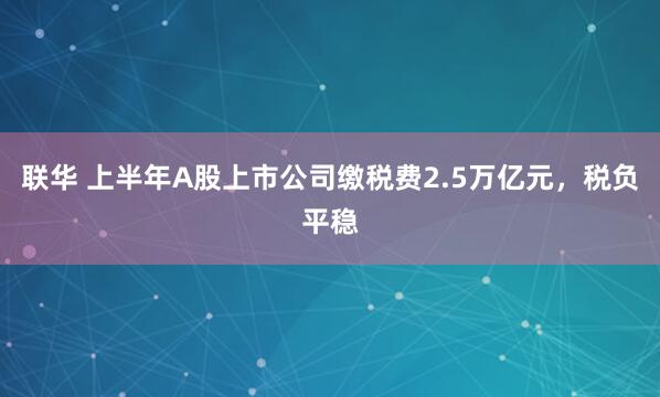 联华 上半年A股上市公司缴税费2.5万亿元，税负平稳