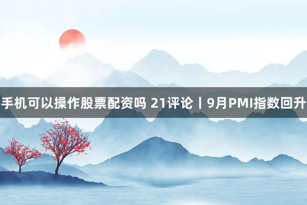 手机可以操作股票配资吗 21评论丨9月PMI指数回升