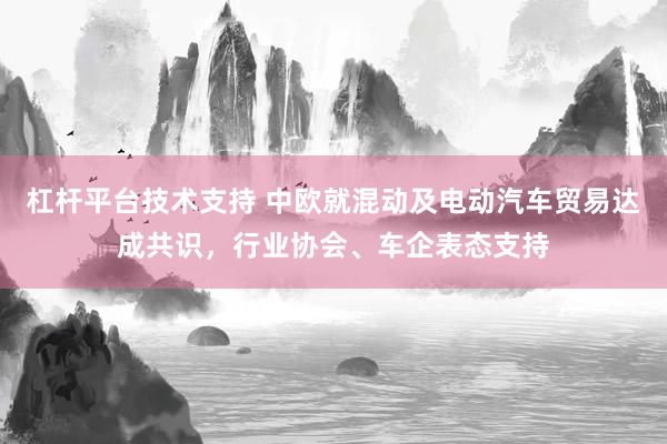 杠杆平台技术支持 中欧就混动及电动汽车贸易达成共识，行业协会、车企表态支持