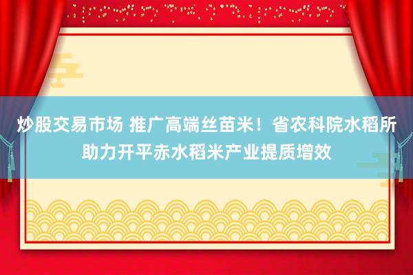 炒股交易市场 推广高端丝苗米！省农科院水稻所助力开平赤水稻米产业提质增效